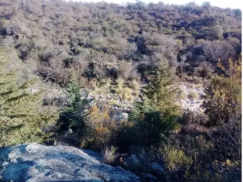 Terreno en Venta de 25000,0 m2