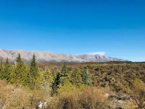 VENDO CAMPO EN LOS ALGARROBOS NONO