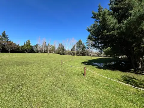 Quinta en Venta en Sauce Montrull, USD 297.000