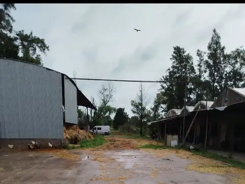 Terreno en Venta de 90000,0 m2