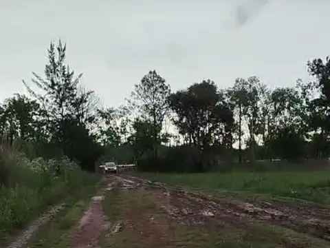 Terreno en Venta en Pilar, USD 1.200.000