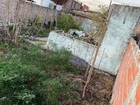 Pasteur 1738
