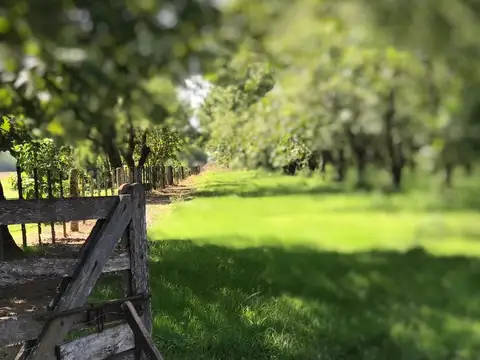 Terreno en Venta de 75751,0 m2