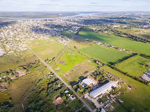 CAMPO 5,2 HA EN VENTA ZONA INDUSTRIAL SAN LORENZO