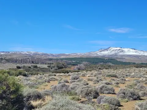 Terreno en Venta de 1604,0 m2