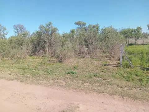 manza 23 lote 100