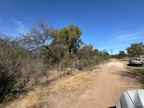 RUTA 14
