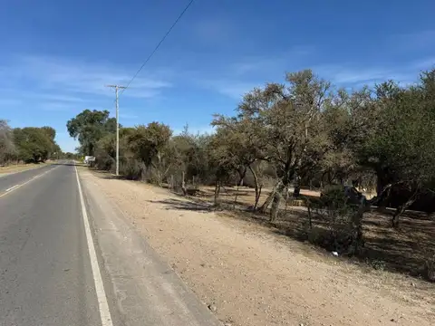 RUTA 14