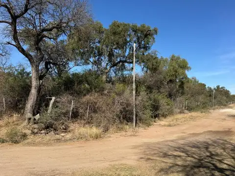 RUTA 14