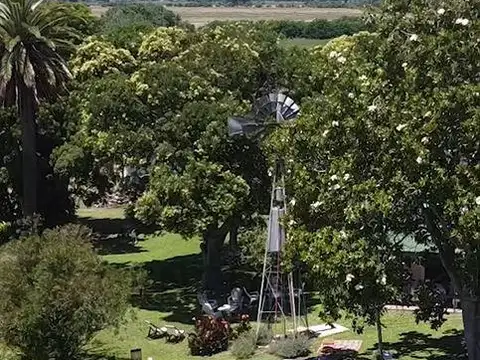 CAMPO MIXTO EN VENTA EN BAVIO - MAGDALENA