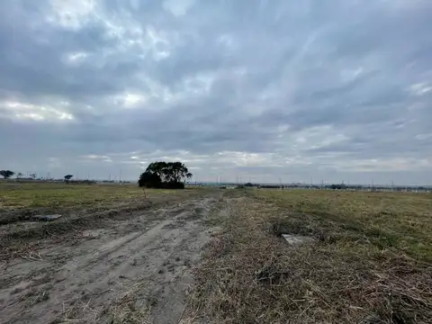 Terreno en Venta de 250,0 m2