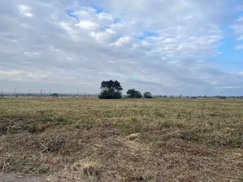 Terreno en Venta de 250,0 m2