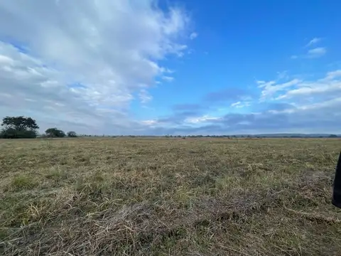 LOTE DOCTA CENTRAL 250M2 - A CANCELAR - MALAGUEÑO