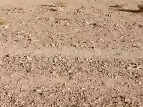 GRAN TERRENO EN VENTA EN USPALLATA, MENDOZA