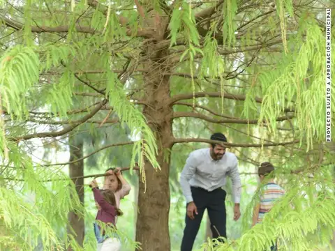 Terreno en Venta 22  mts Fondo