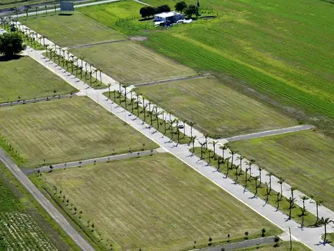 Terreno en Venta 12  mts Fondo