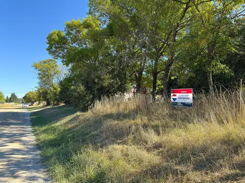 LOTE DE 29 X 54 Mtros2 en MARIA IGNACIA VELA