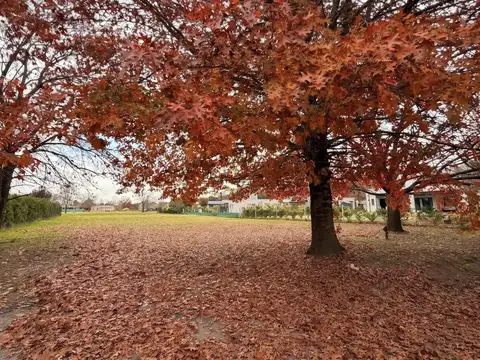 Terreno en Los Alcanfores