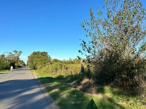 Venta de campo en Ibarlucea ideal para desarrollo inmobiliario - 5 hectáreas sobre calle Schill...
