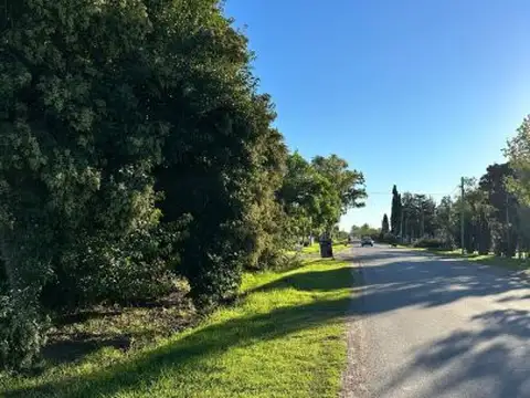Campo en Venta en Ibarlucea, Rosario