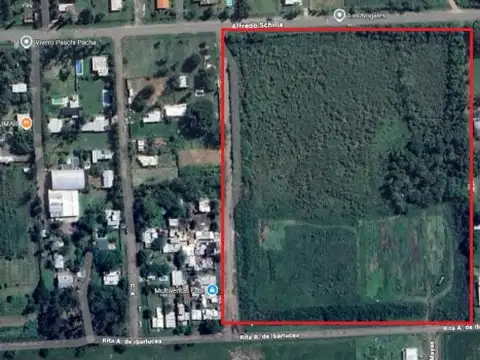 Venta de campo en Ibarlucea ideal para desarrollo inmobiliario - 5 hectáreas sobre calle Schill...
