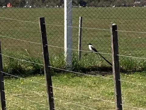 Terreno en Venta 10  mts Fondo