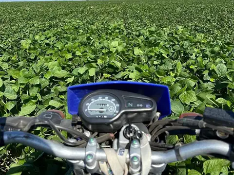 Campo en Banderas, Santiago del Estero  1.513 hectáreas