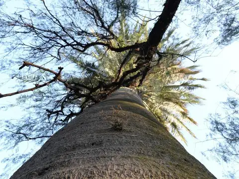 Lotes en Barrio Cerrado San José Morón
