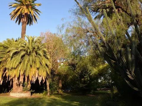Lanus