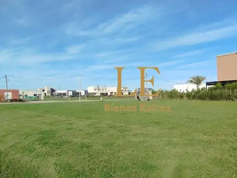 El Ensueño 100