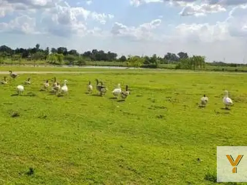 Terreno en venta - 1.168,01Mts2 - La Soberana, General Rodríguez