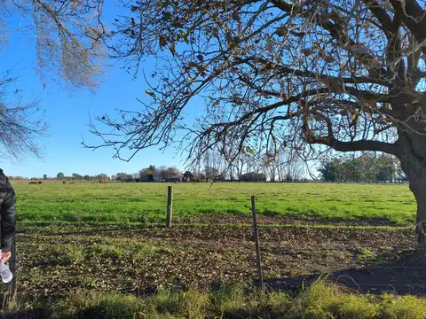 Ruta 8