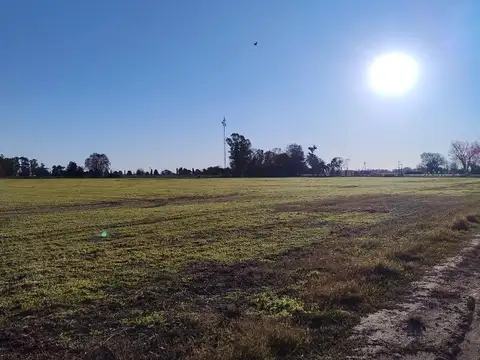 DUGGAN 21 HECTAREAS - LATERAL SOBRE RUTA 8 - RE TASADO