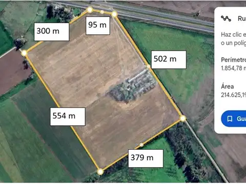 DUGGAN 21 HECTAREAS - LATERAL SOBRE RUTA 8