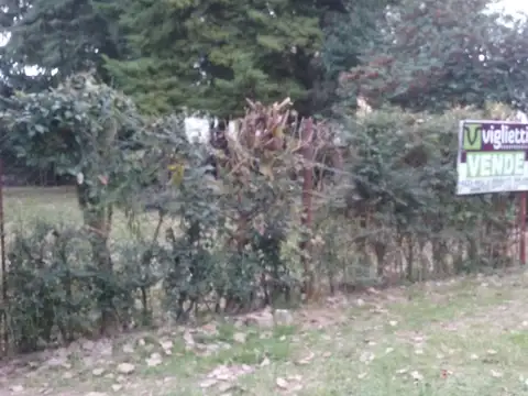 Terreno en Venta en Ranelagh, USD 75.000