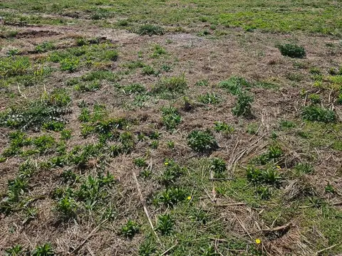 VENTA LOTE RESIDENCIAL  ABRAS- MANANTIALES- 266 m2