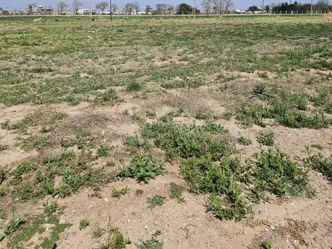 Terreno en Venta de 266,0 m2