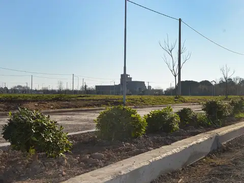 Terreno en Venta de 250,0 m2