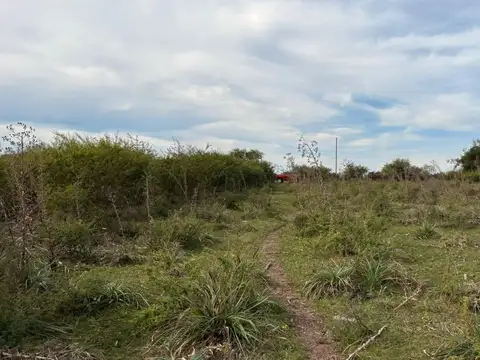 VENTA CAMPO MIXTO - CONCORDIA