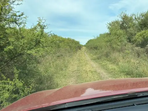 Campo en Venta Agrícola