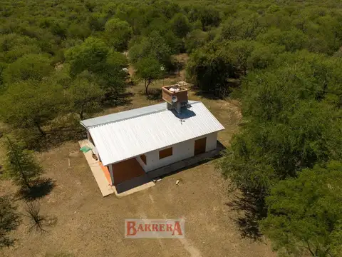 Campo en Venta Forestal