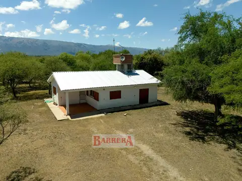Campo en Venta Forestal