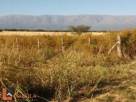 Campo en venta de 256 Hectáreas en Ruta 148 Luyaba, Cordoba