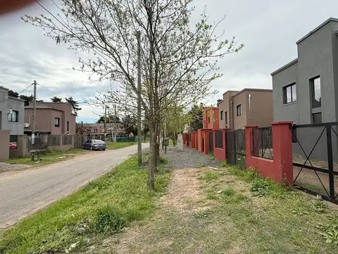 Las Margaritas 900