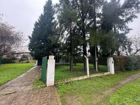 las camelias 1400
