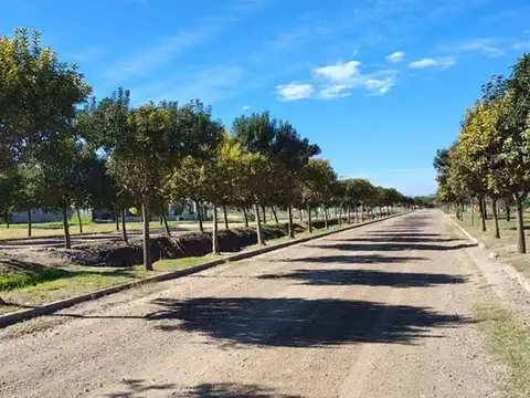 Terreno en Venta en Colonia Tirolesa, USD 10.000