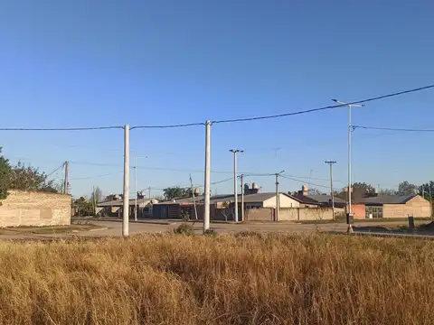 Av. Caacui