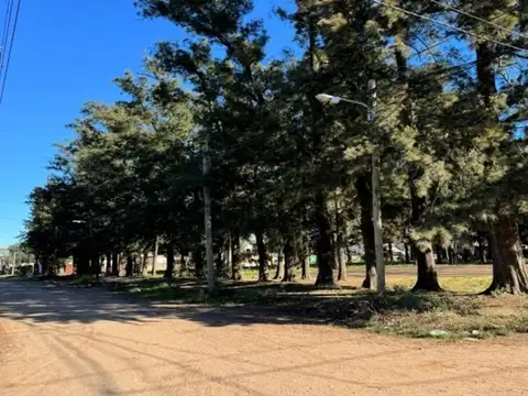 Lotes en Pinares de Echeverria