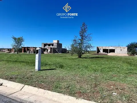 Docta