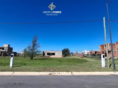 Docta